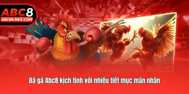 Đá gà Abc8 kịch tính với nhiều tiết mục mãn nhãn