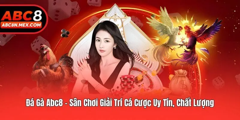 Đá Gà Abc8 - Sân Chơi Giải Trí Cá Cược Uy Tín, Chất Lượng