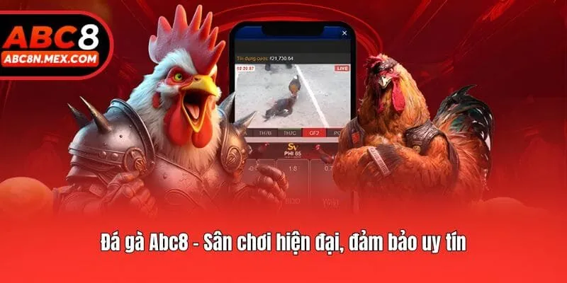 Đá gà Abc8 - Sân chơi hiện đại, đảm bảo uy tín