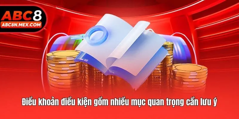 Điều khoản điều kiện gồm nhiều mục quan trọng cần lưu ý