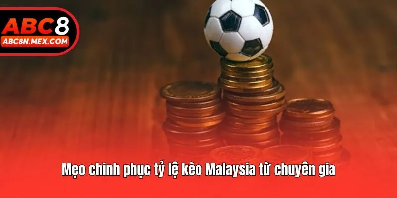 Mẹo chinh phục tỷ lệ kèo Malaysia từ chuyên gia