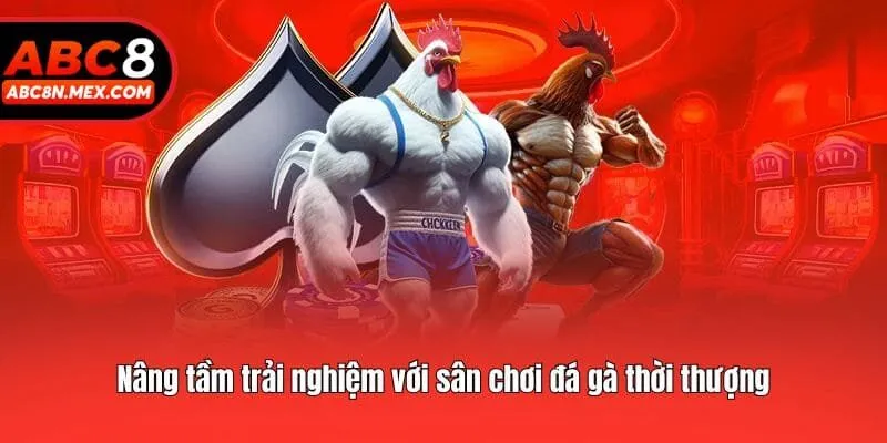 Nâng tầm trải nghiệm với sân chơi đá gà thời thượng