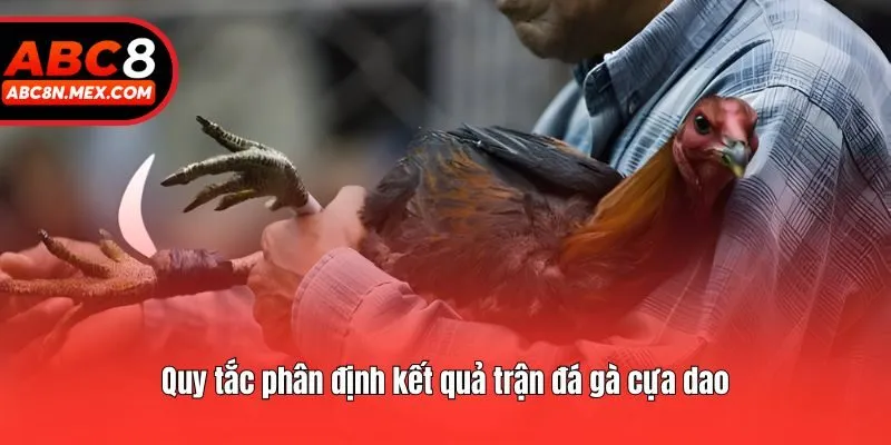 Quy tắc phân định kết quả trận đá gà cựa dao