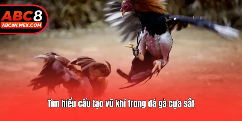 Tìm hiểu cấu tạo vũ khí trong đá gà cựa sắt