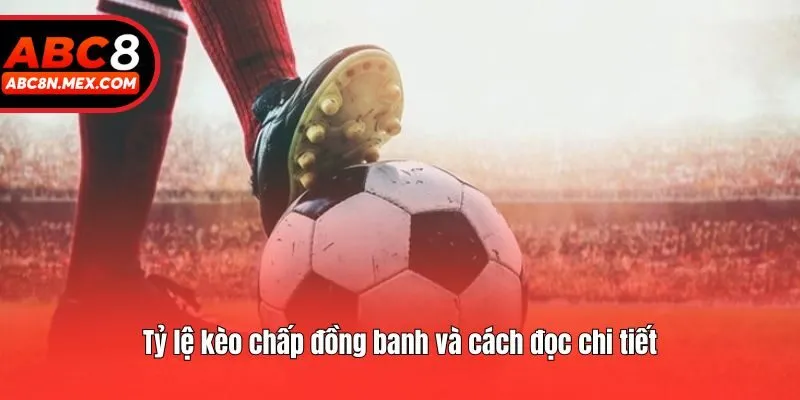 Tỷ lệ kèo chấp đồng banh và cách đọc chi tiết
