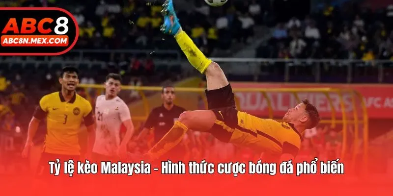 Tỷ lệ kèo Malaysia - Hình thức cược bóng đá phổ biến